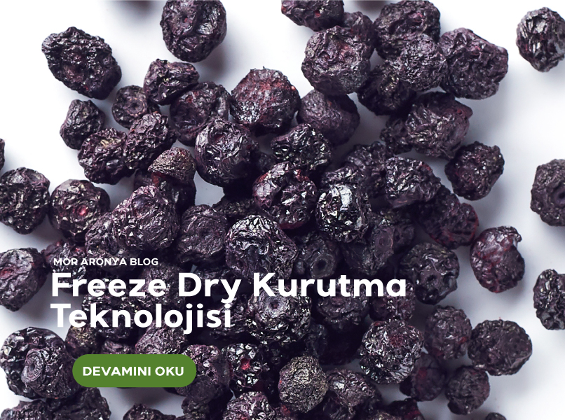 Gıda kurutma ve Freeze Dry Teknolojisi