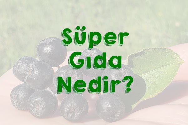 Süper Gıda Nedir?