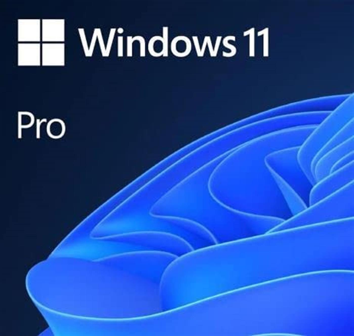 MicrosoftMicrosoft Ms Windows 11 Pro FQC-10556 64BIT Tr (Oem)