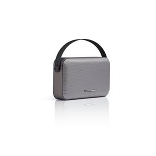 Thonet & Vander Ziegel 30W RMS Taşınabilir Bluetooth TWS 30 Saat Dinleme Süresi  Gri Renk