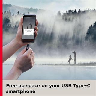 SanDisk Ultra Dual Drive Go Type-C 128GB USB Flash Bellek SDDDC3-128G-G46