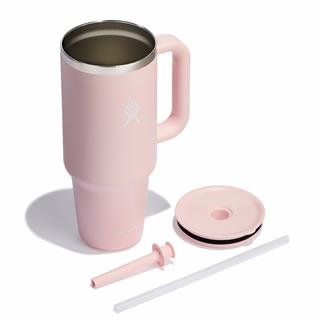 Hydro Flask HF-TT40PS678 Pipetli Termos Bardak 1,18L Trillium
