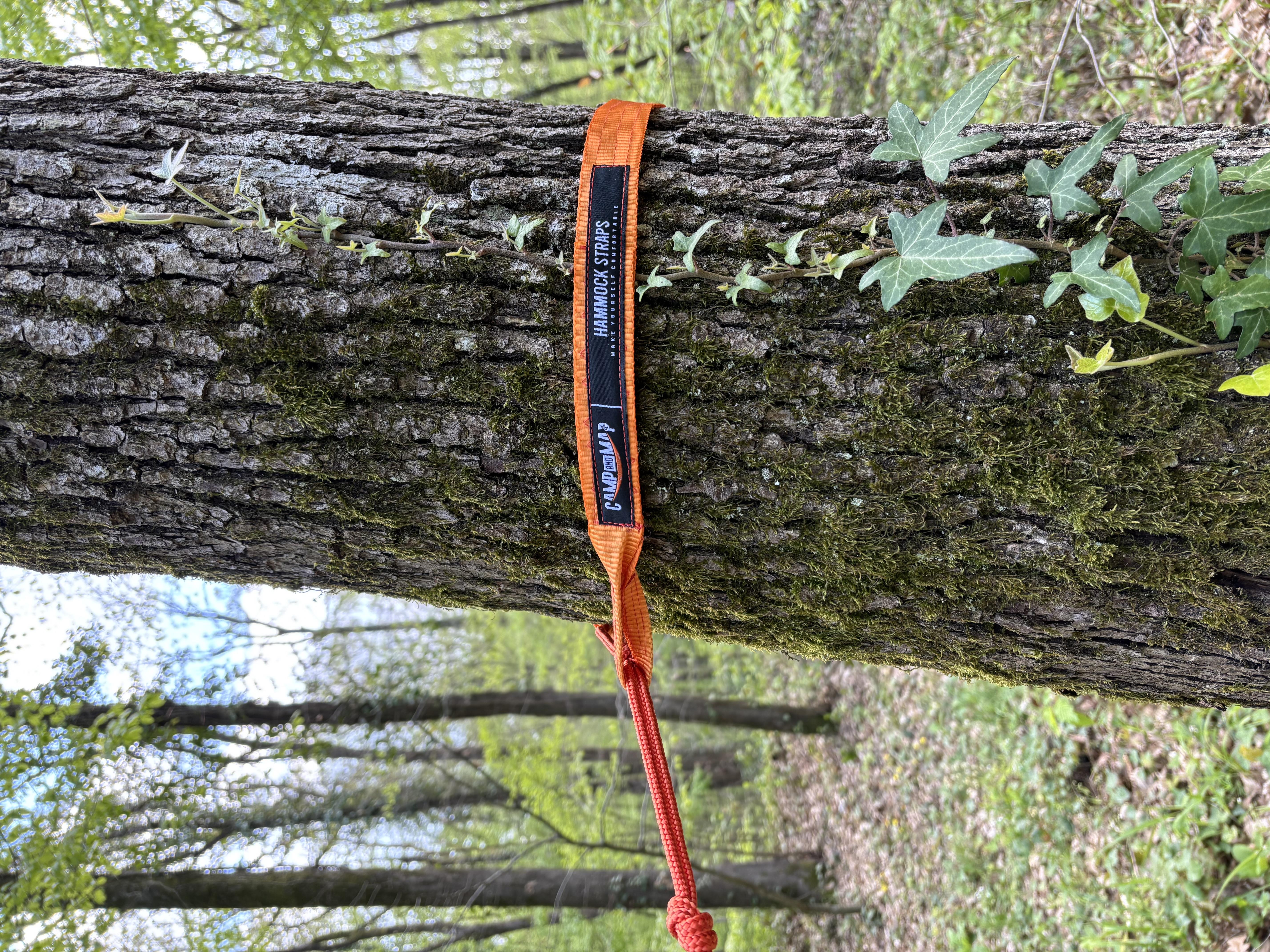 Starps turuncu CAMPANDMAPTuruncu straps 