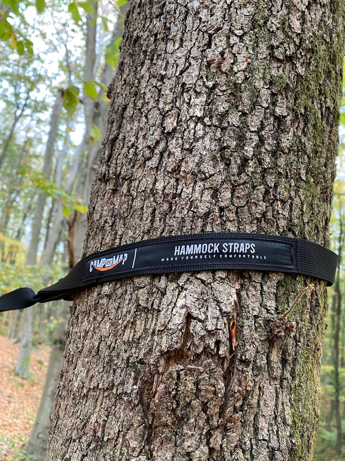 STRAPS CAMPANDMAPCampandmap straps 