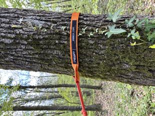 Starps turuncu CAMPANDMAPTuruncu straps 