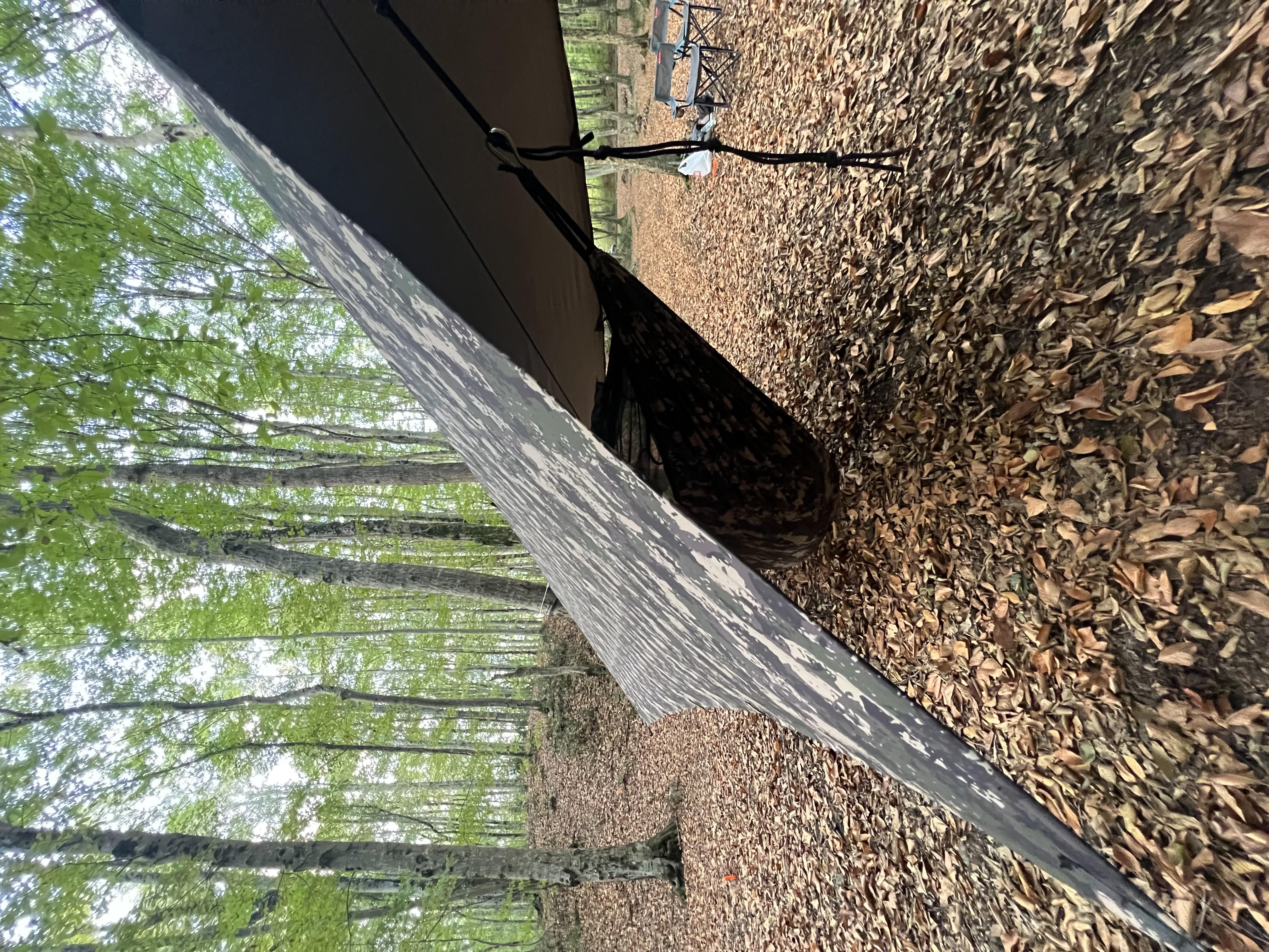 アウトドア PB Tarp 8×10 Versatile Roof