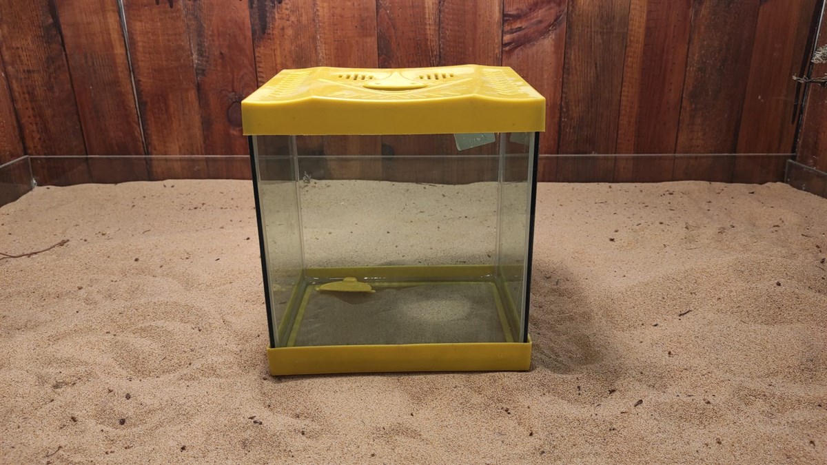 20x15x21(H) Mini Akvaryum20x15x21(H)-Mini-Akvaryum