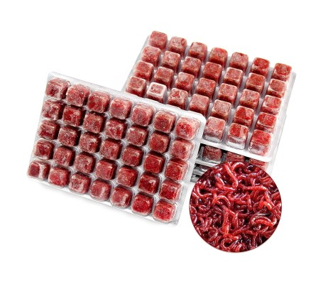 3F FROZEN BLOODWORMS KAN KURDU 100 GR8714558001014