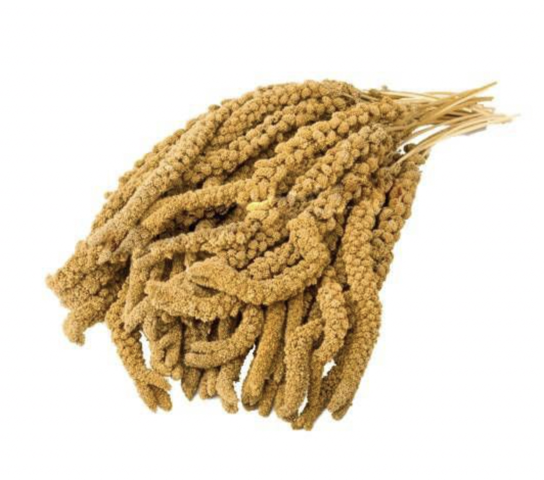 500-0052 SARI DAL DARI 1 KG1500001384806