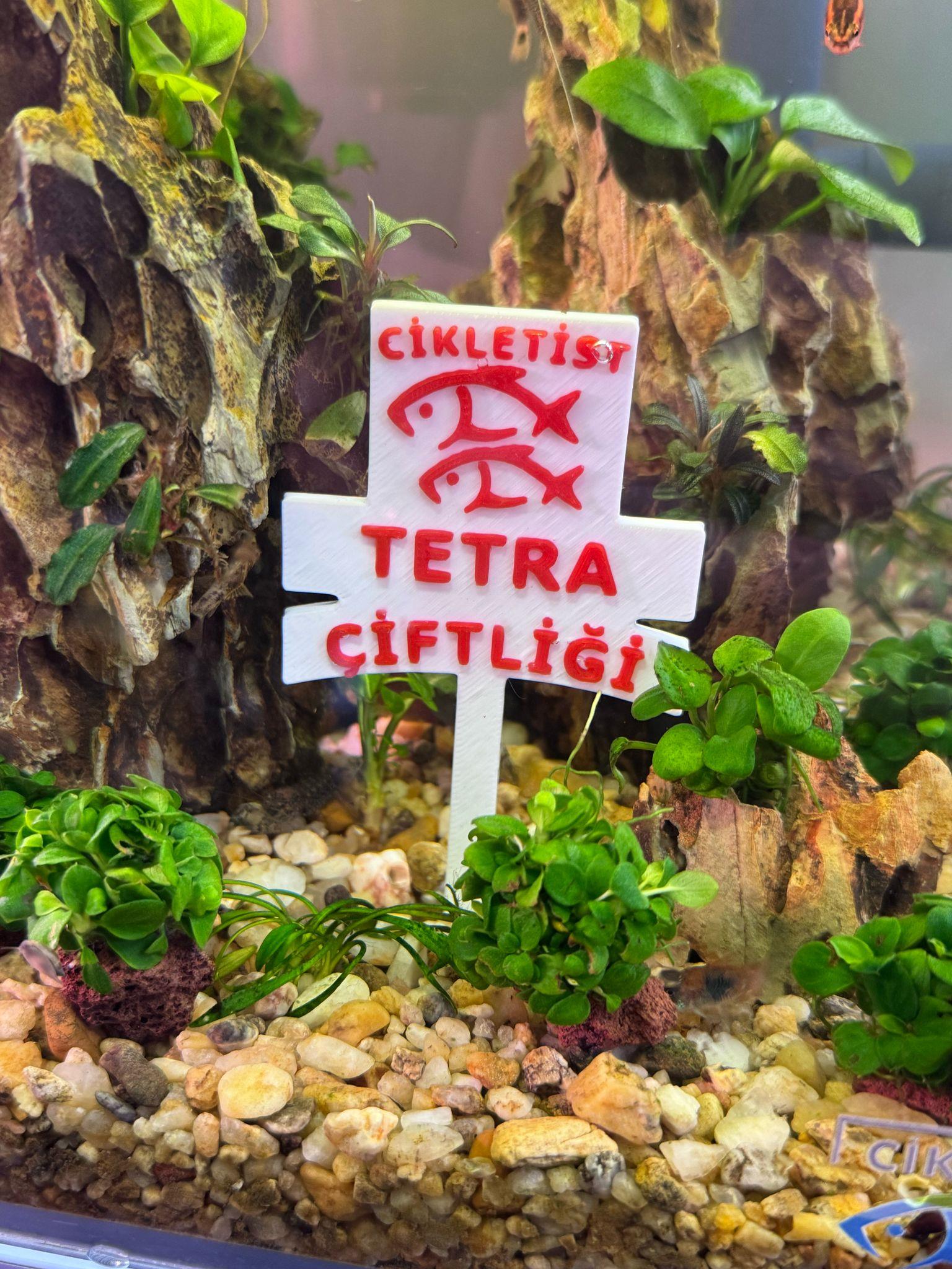 AKVARYUM TABELA DEKORLARITBL