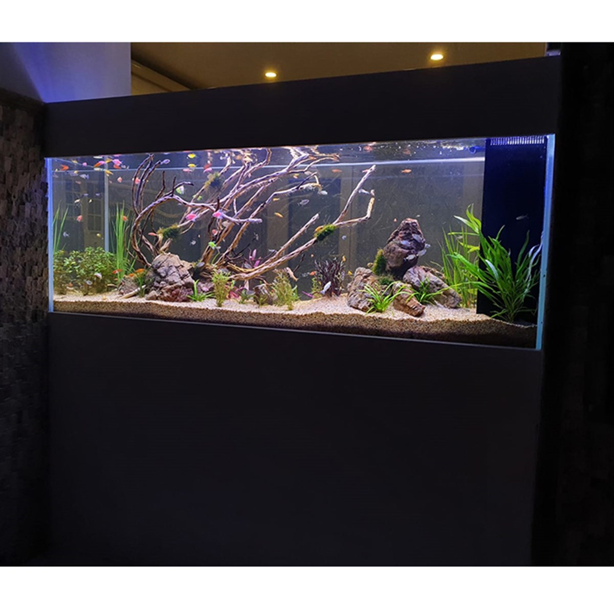 Alkent 2000 Sitesi Bitkili AkvaryumTasarım1