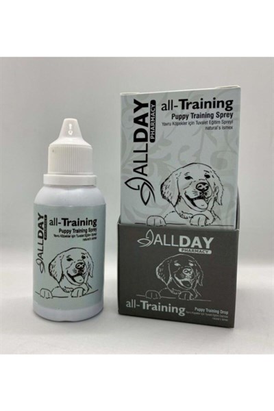 ALL DAY KÖPEK EGITIM DAMLASI