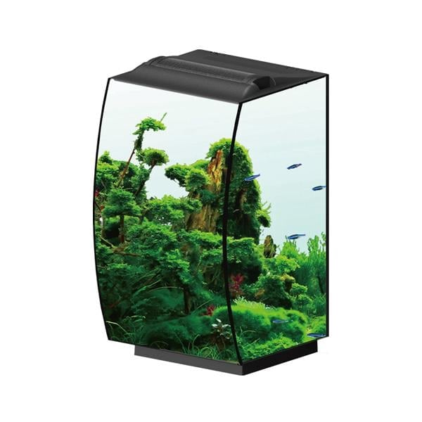 Anubias Nano Tank 36 x 32 x 50 Cm Siyah1998000192773