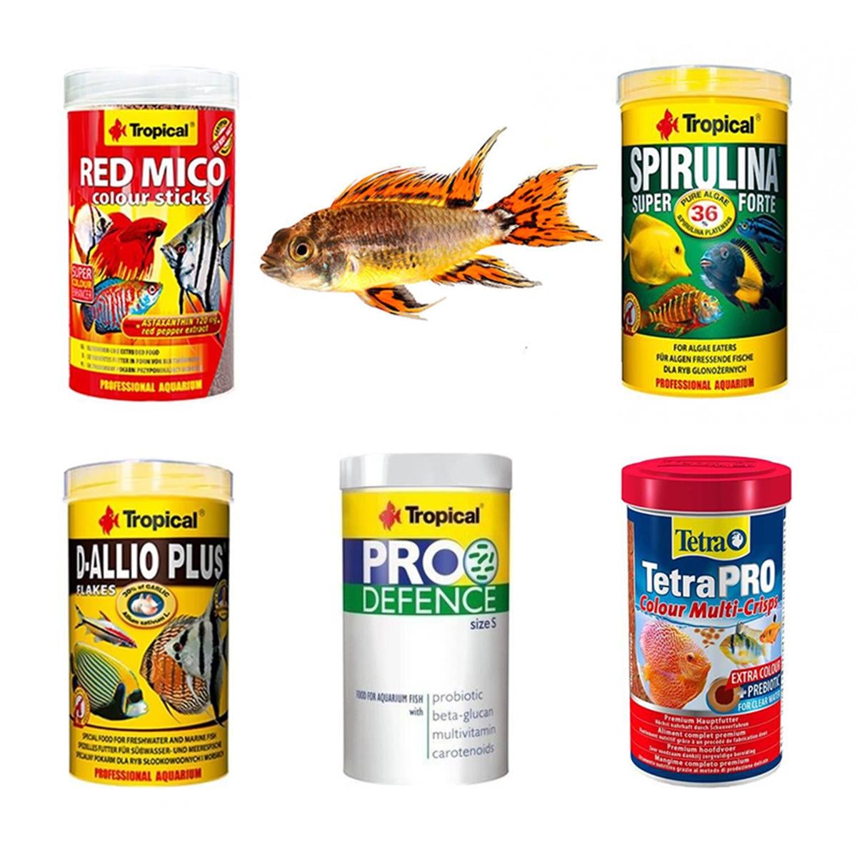 Apisto Balıklarına Özel Yem Paketi (AÇIK YEM)Apistopaket