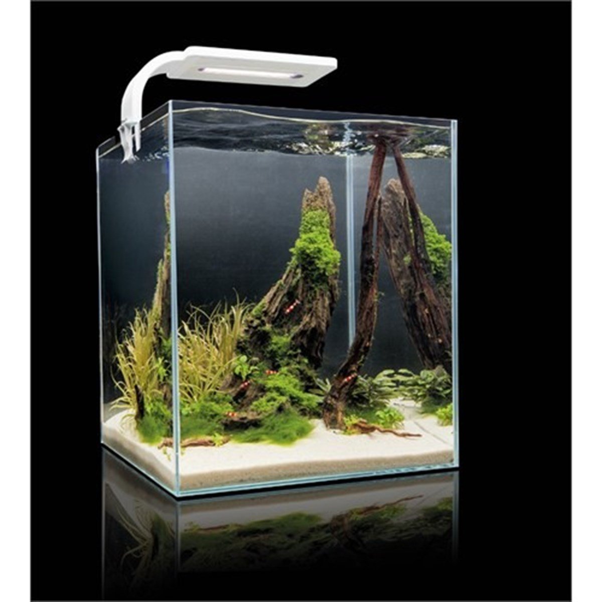 AQUAEL Shrimp/Fish Set Smart D&N 30  Nano Akvaryum5905546326230