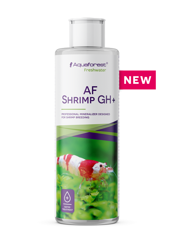 AQUAFOREST - AF SHRİMP GH+ 125 ML5902026733069