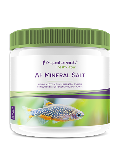 AQUAFOREST - MİNERAL SALT FRESH 500 ML5902026738491