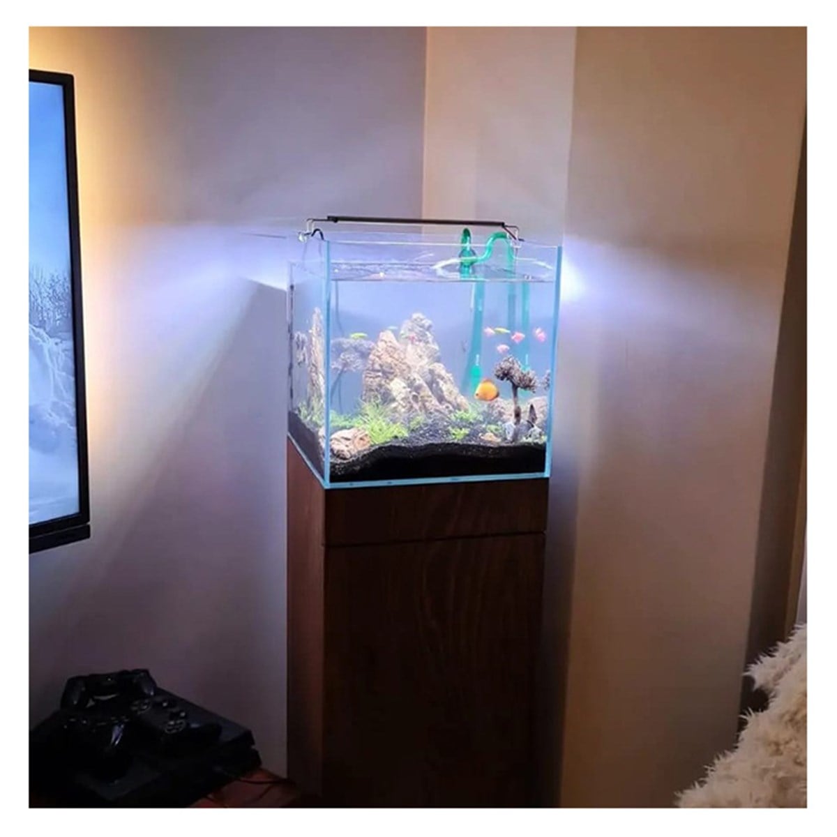 Bahçeşehir Low Tech Nano AkvaryumTasarım7