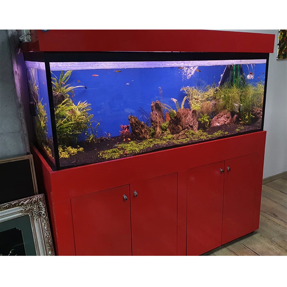 Başakşehir High Tech Bitkili Akvaryum Tasarım8