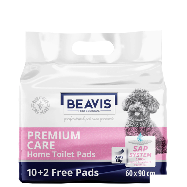 BEAVİS ÇİŞ PET 12 Lİ  60X908681299600328