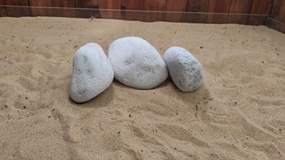 Beyaz Tambur Akvaryum Kayası