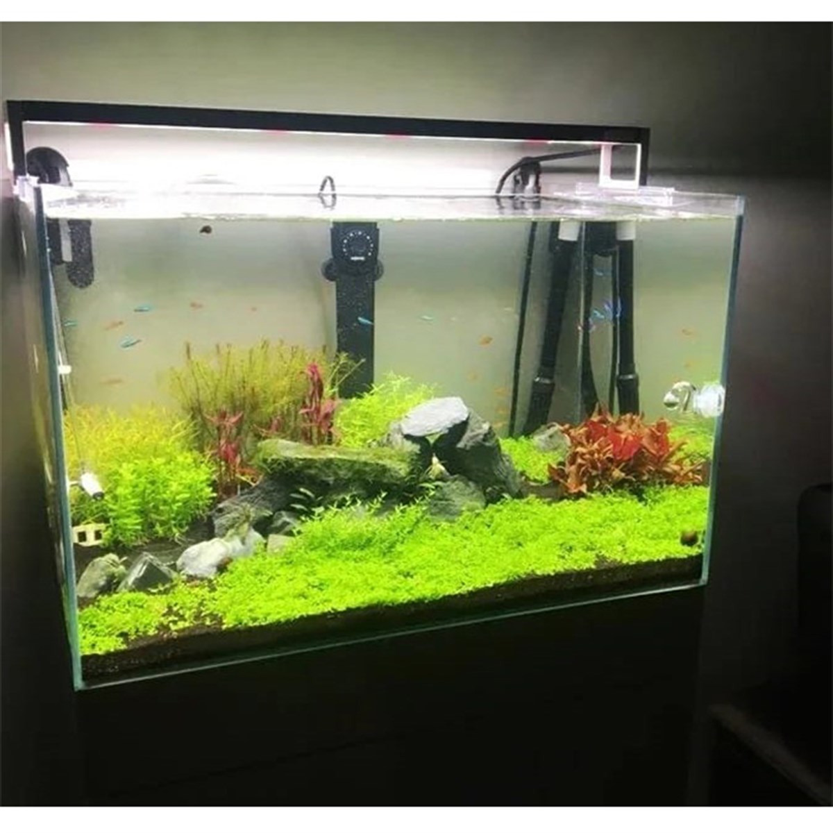 Beylikdüzü High Tech Bitkili AkvaryumTasarım11