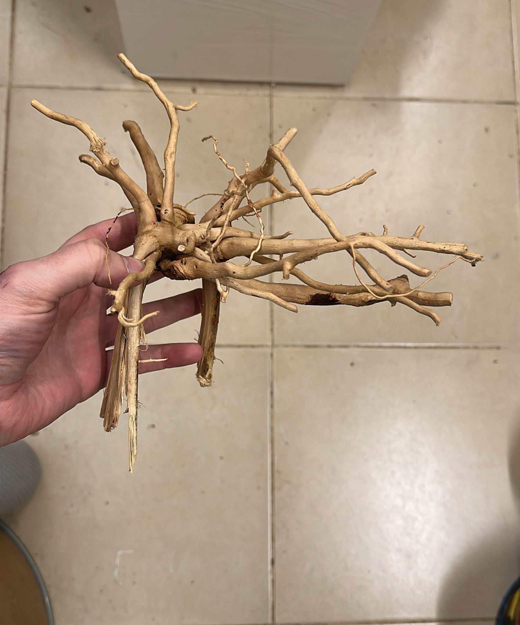 Çöl Kütüğü İnce Dal 0.5 Kg 