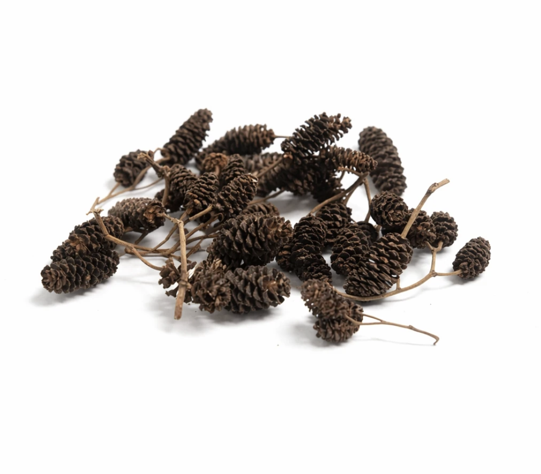 CREAQUA ALDER CONES8685048740600