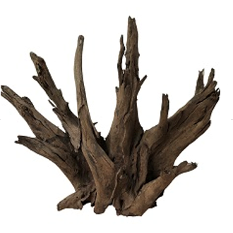 CREAQUA TREE ROOT 1 ADETTRT