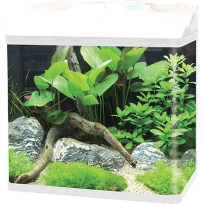 Eurostar Akdeniz 600 Beyaz Akvaryum 7W Led (60X30X56)
