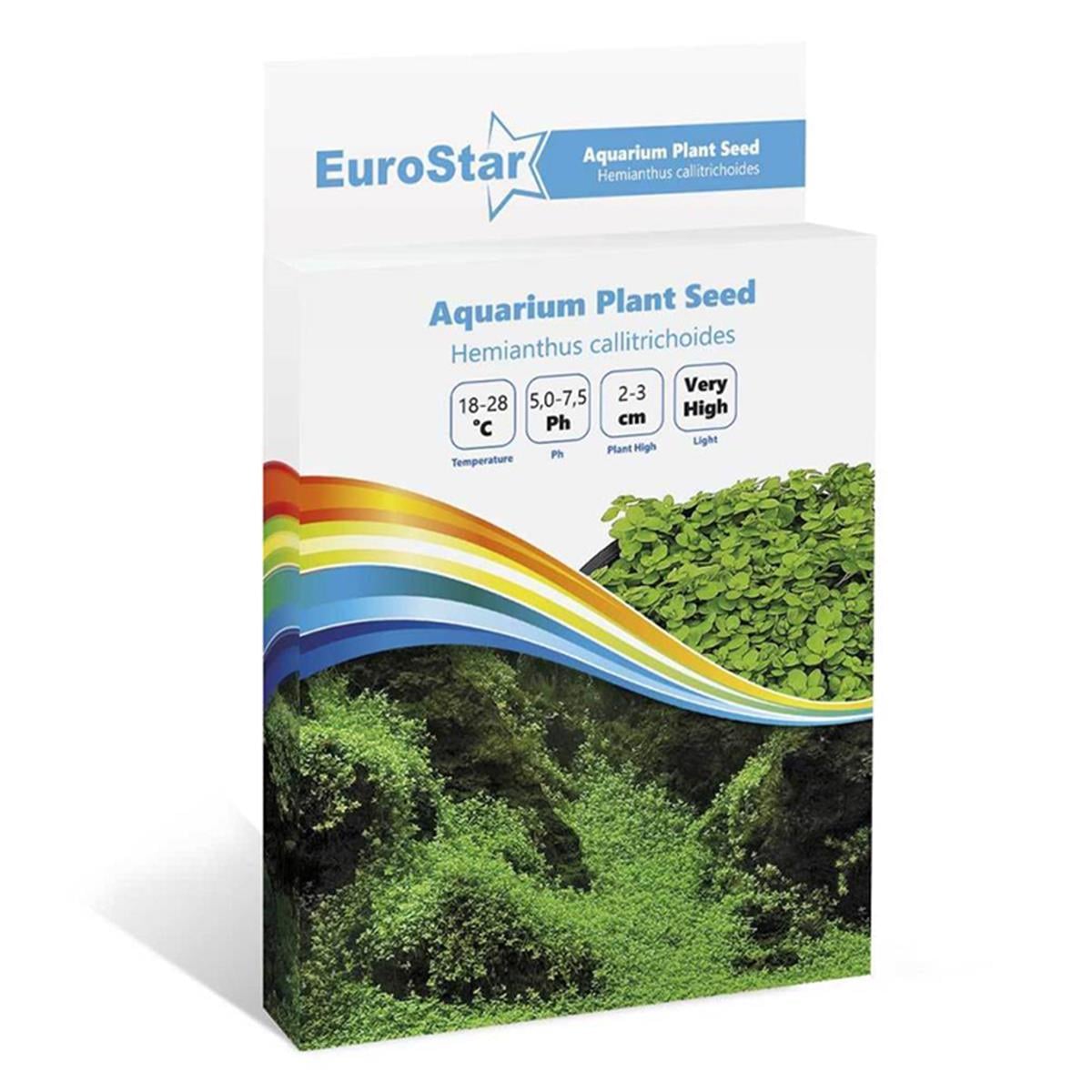 EUROSTAR BİTKİ TOHUMU HEMİANTHUS CALLİTRİCHOİDES (10)8681144115021