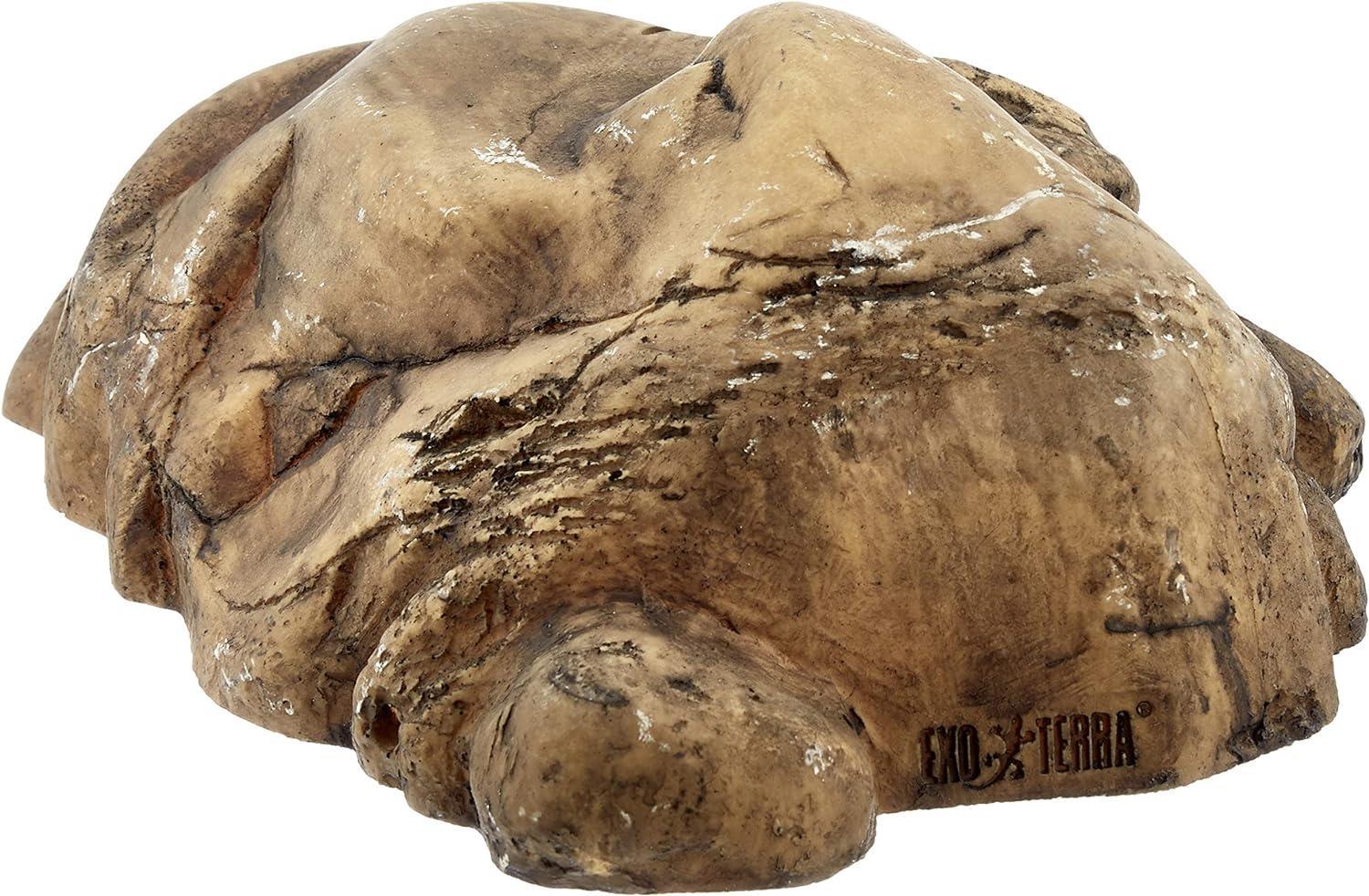 EXO TERRA SÜRÜNGEN MAĞARASI (L)