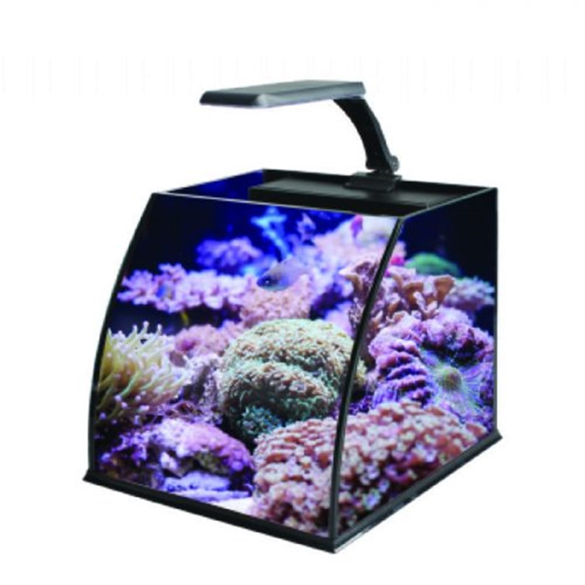 HAQOS BELLY BOX 30 AYDINLATMALI NANO AKVARYUM8690000435937
