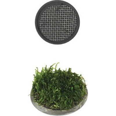 ISTA BİTKİ TABAN SERAMİK 5 CM YUVARLAK