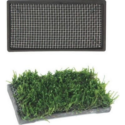 ISTA BİTKİ TABAN SERAMİK 5X10 CM CM DİKDÖRTGEN