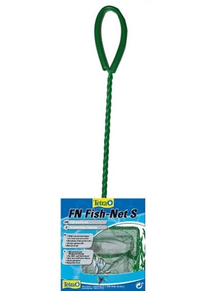 KÜÇÜK KEPÇE TETRA