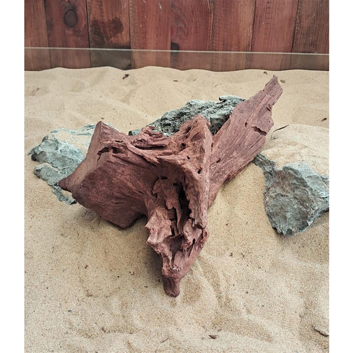 Mangrove Kökü L BoyMangoL