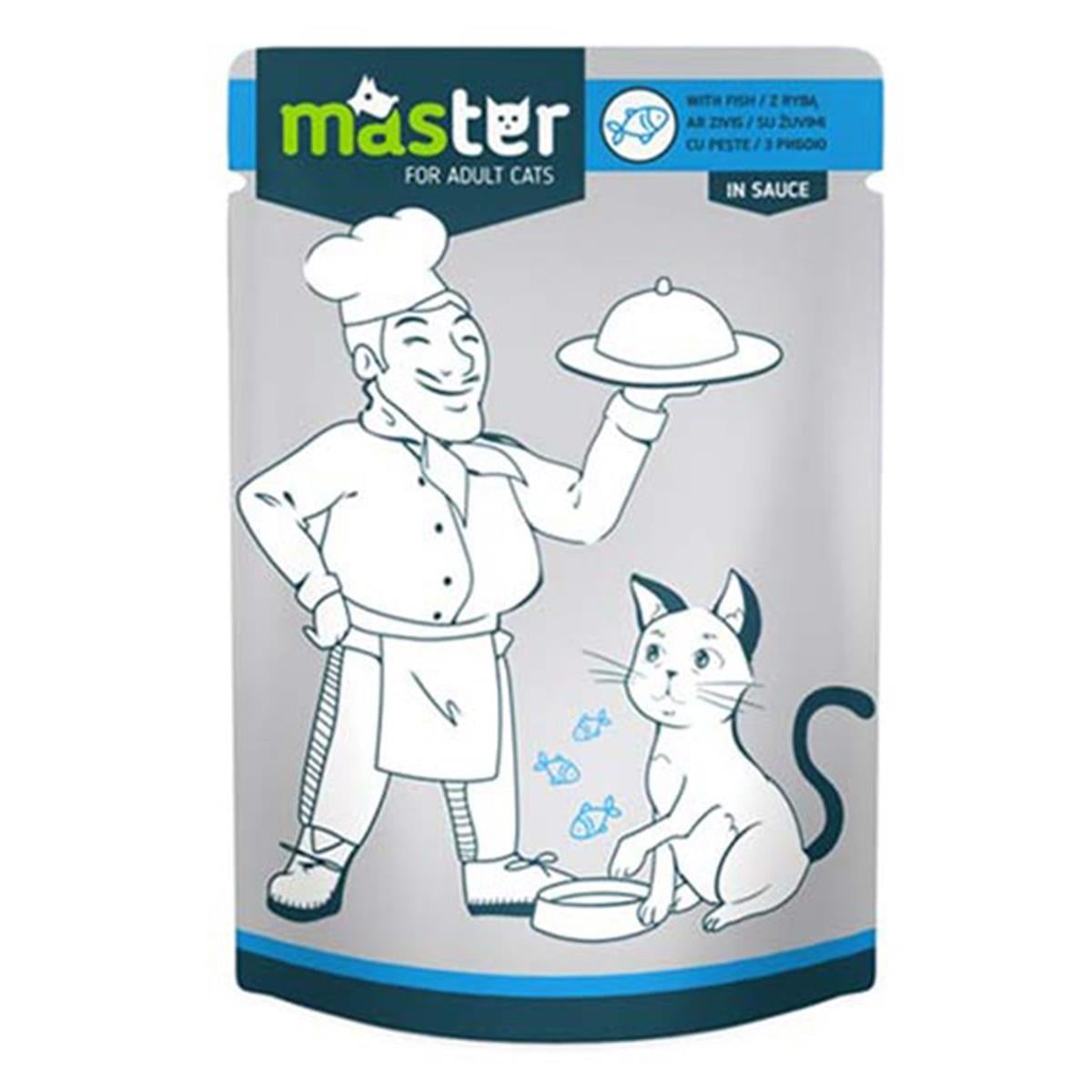 MASTER BALIKLI KEDI YAŞ MAMA4820083909078