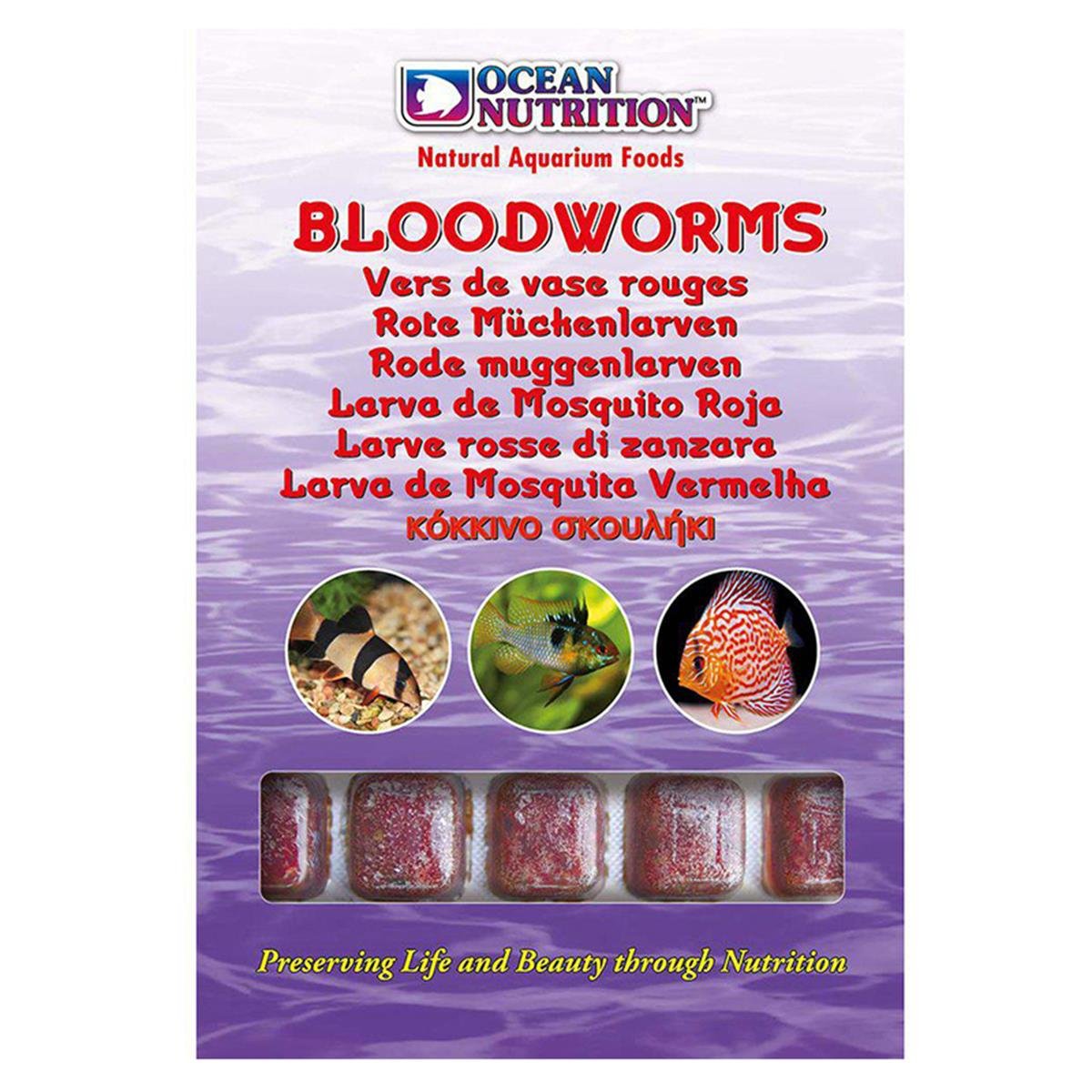 OCEAN NUTRİTİON FROZEN BLOODORMS KAN KURDU DONDURULMUŞ 100 GR5412482000013