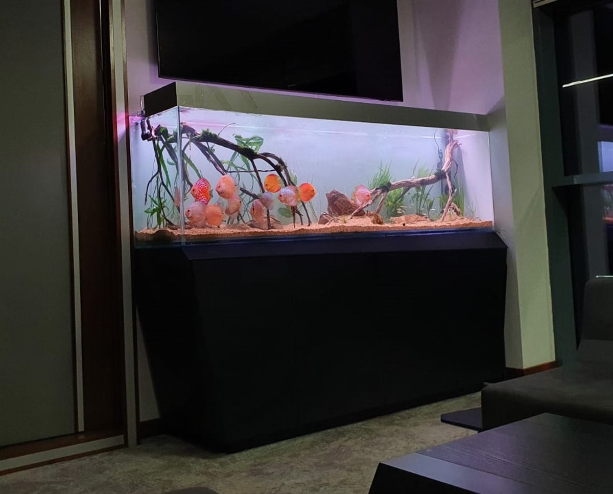 Özel Ölçü Batışehir Ofis- 150x40x50h150x40x50