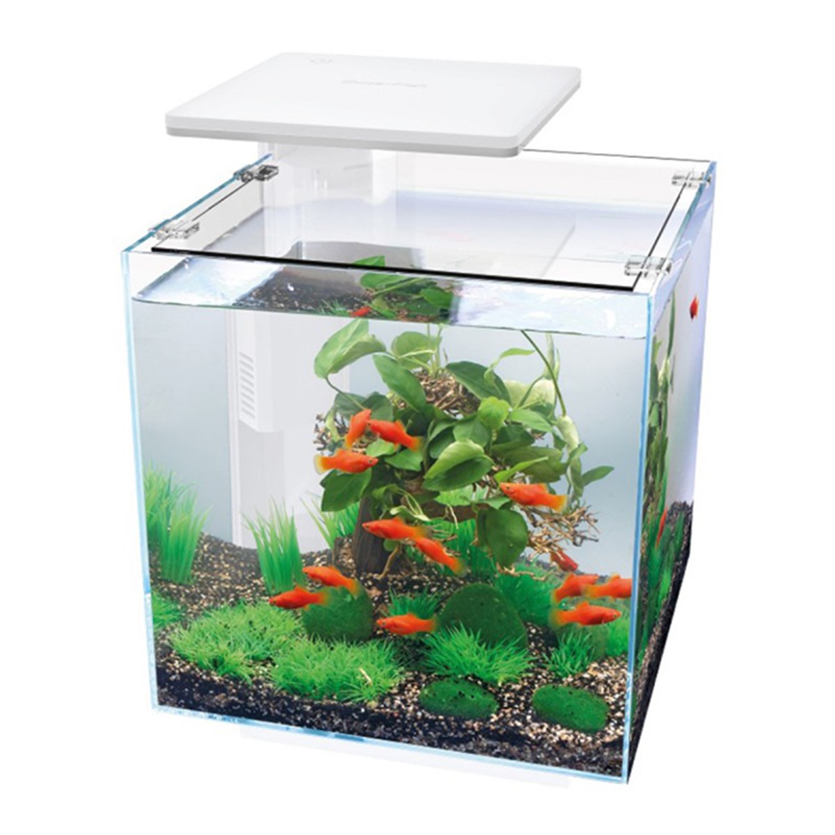 QB30 AKVARYUM BEYAZ6920255892493