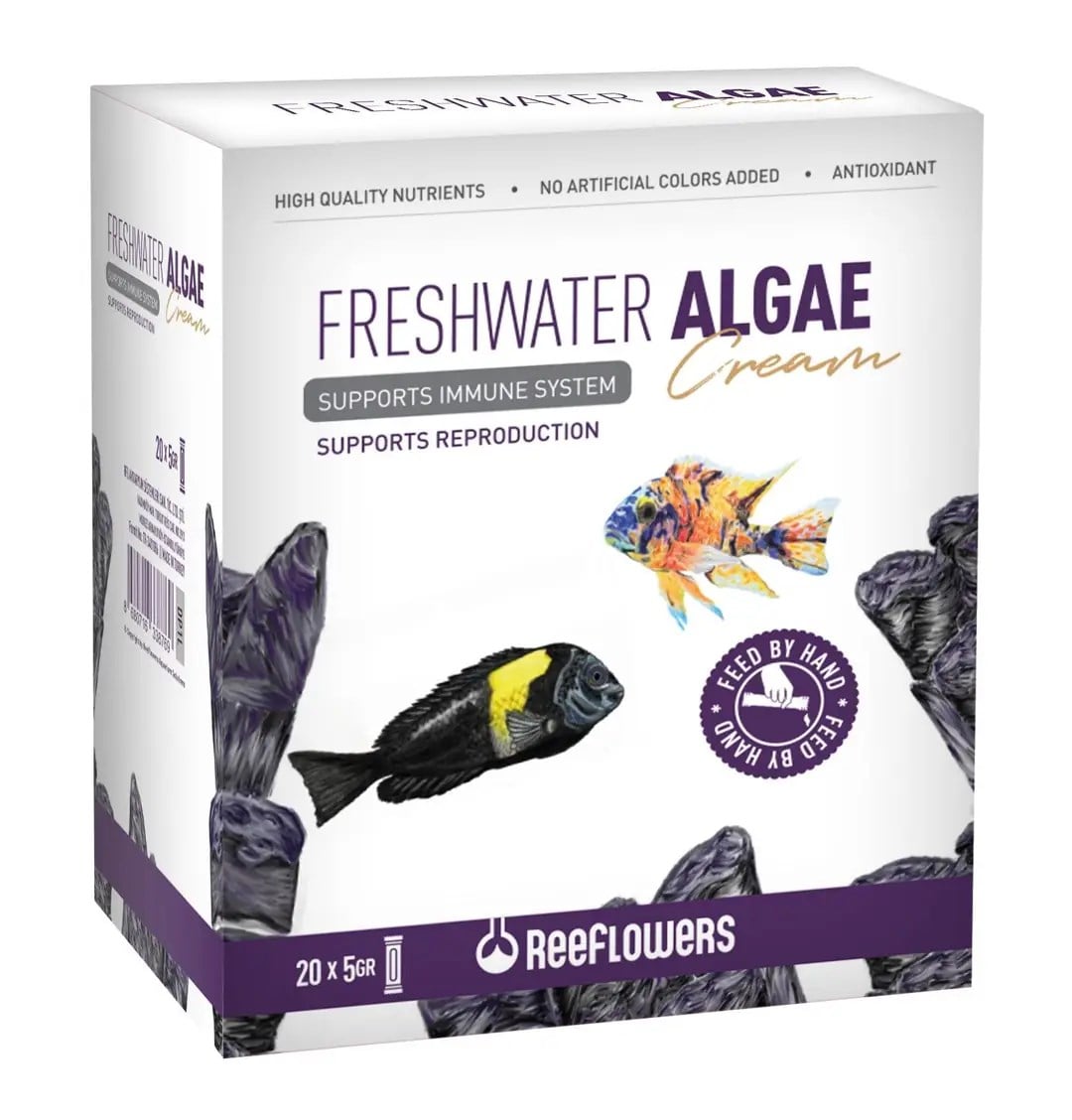 REEFLOWERS FRESWATER DİSCUS KREM YEM 5 GRX208682780653014
