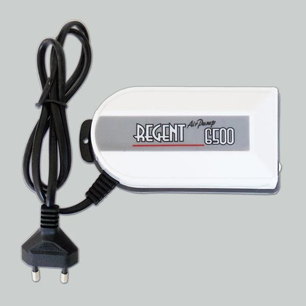REGENT 6500 HAVA MOTORU TEK ÇIKIŞ6938104012923