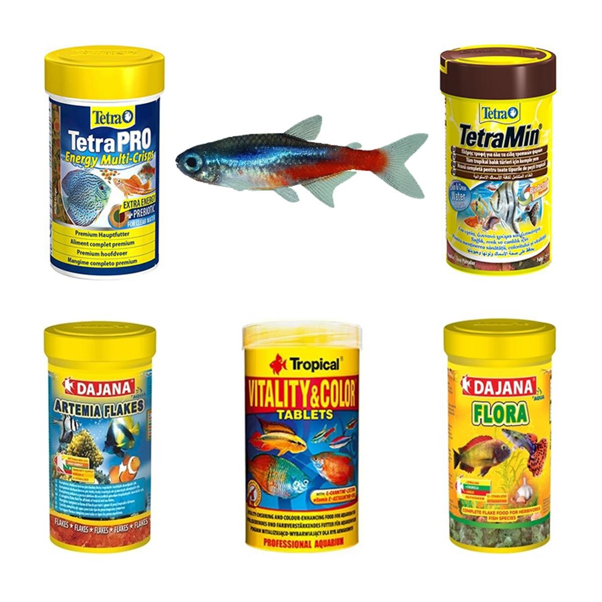 Tetra Balıklarına Özel Yem Paketi (AÇIK YEM)Tetrapaket