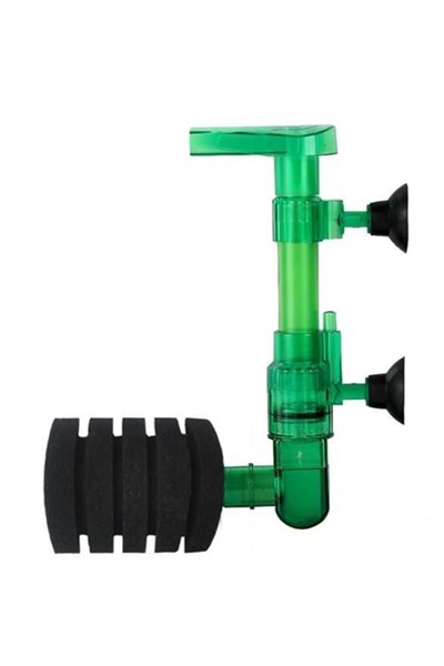 XY-2895 BİYOLOJİK SÜNGER