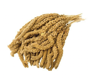 500-0052 SARI DAL DARI 1 KG1500001384806