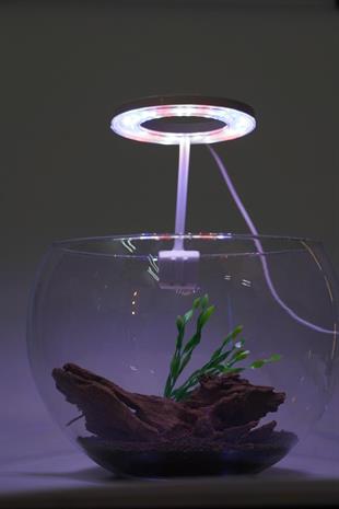 ORİONLED FANUS AYDINLATMA SPİRALLİ BEYAZ8684180591668