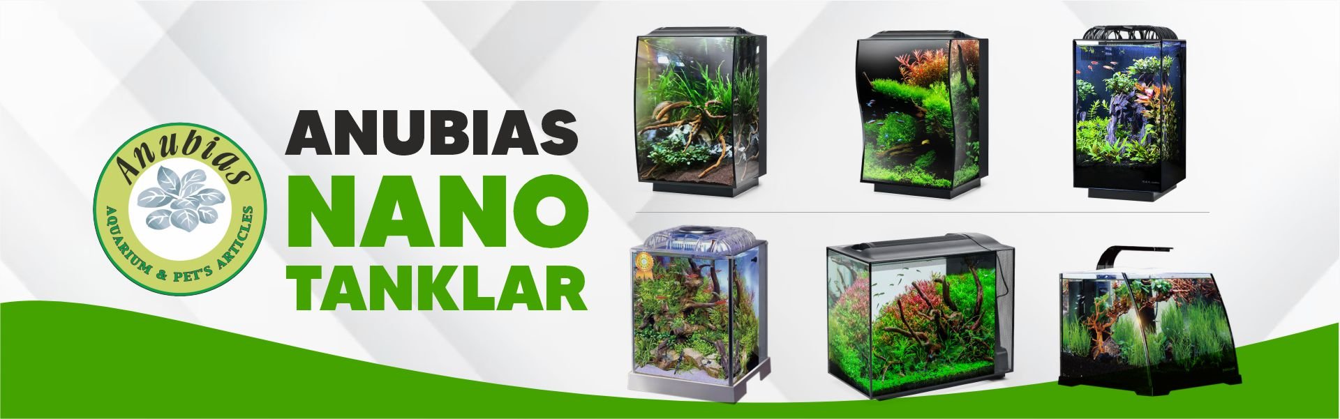 Anubias Nano Tanklar