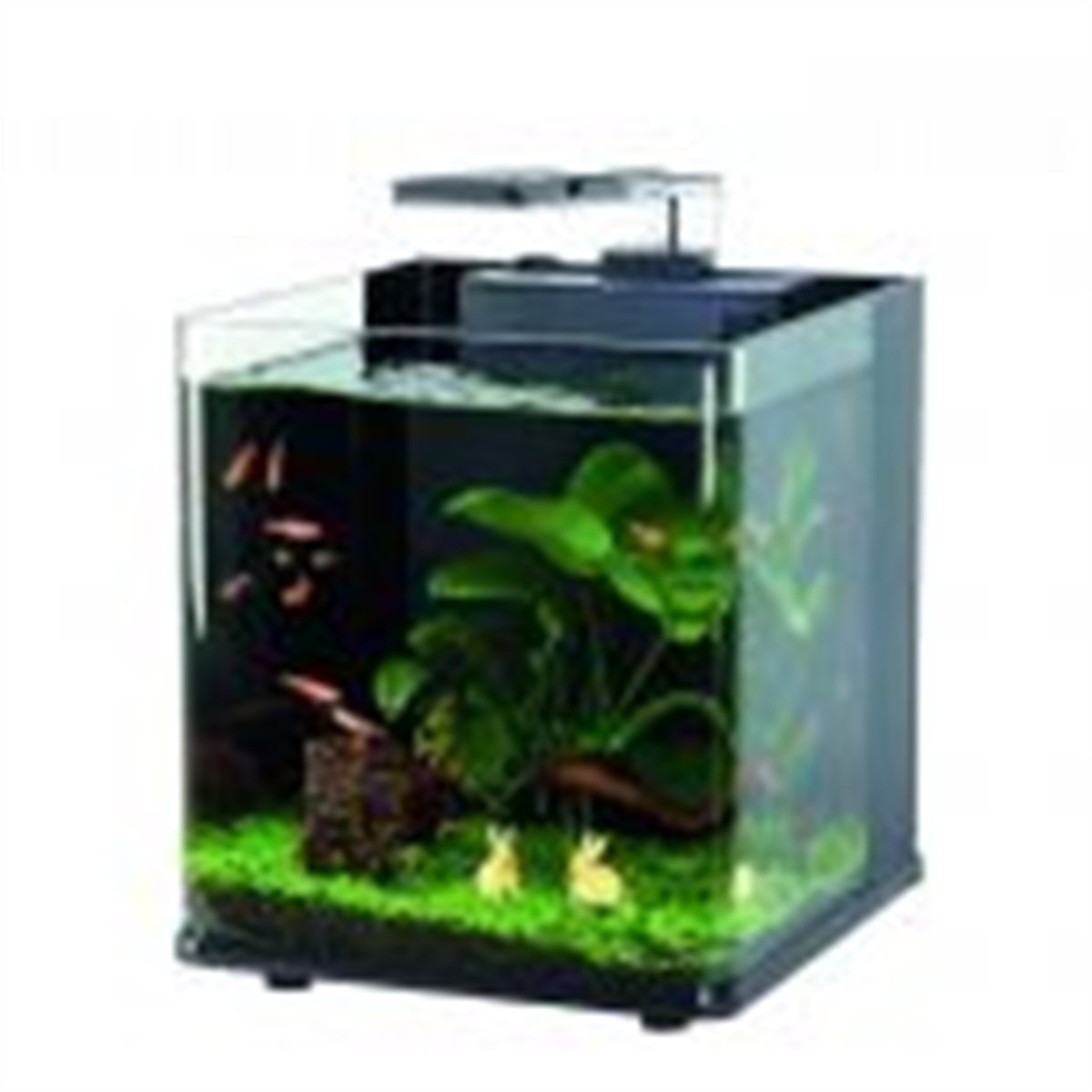  HAQOS CUBE BOX 20 LED AYDINLATMALI NANO AKVARYUM 20,5X23,5X22CM6904987120512