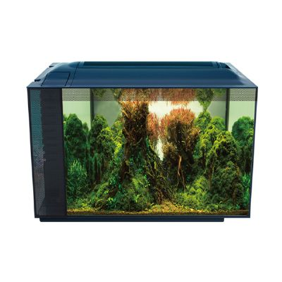 Anubias Nano Tank 55,5 x 29,5 x 32 Cm Siyah1998000192803